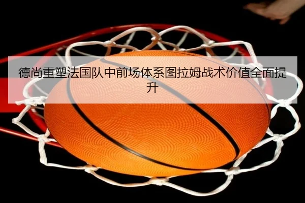 德尚重塑法国队中前场体系图拉姆战术价值全面提升